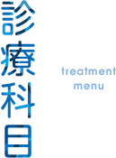 診療科目 treatment menu